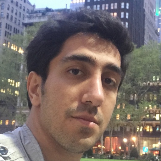 Ali Panahi